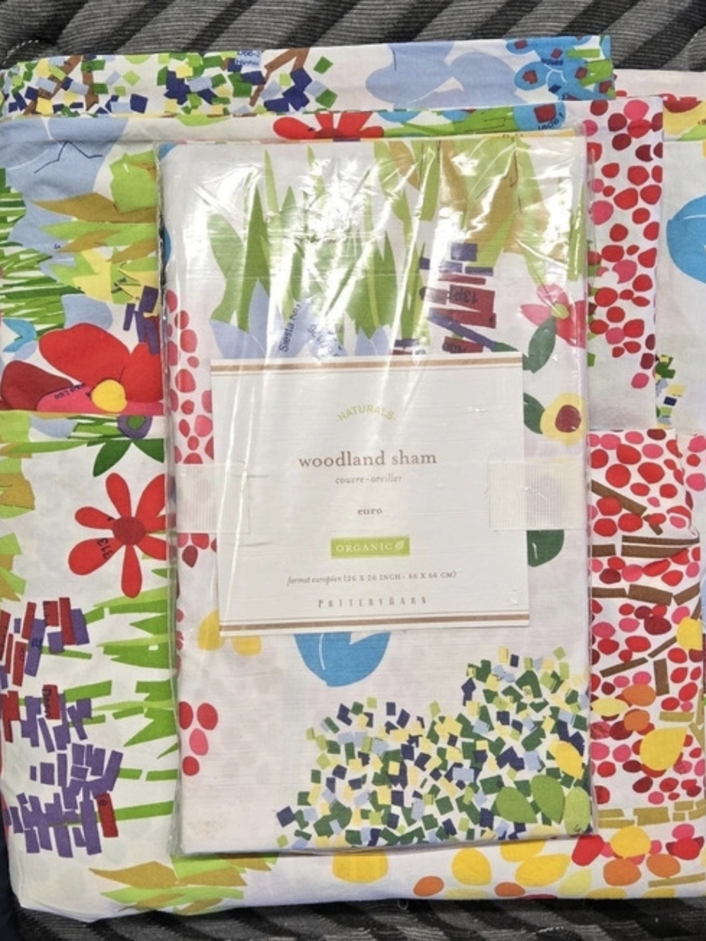 Pottery Barn Woodland Organic Queen Duvet And 1-Euro Sham Floral